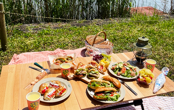 琵琶湖の湖畔緑地でのピクニックの様子。明るい赤のギンガムチェックのレジャーシートの上にバスケットと木製の折りたたみテーブルがある。テーブルの上には、ランタンやフォークとスプーン、それぞれ種類ごとにお皿に分けられたサンドウィッチ、ハンバーガー、サラダにジュース、お菓子、葡萄、ホイップクリームの入った絞り袋が載っている。